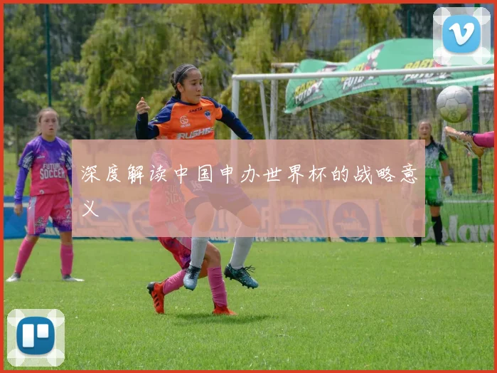 深度解读中国申办世界杯的战略意义