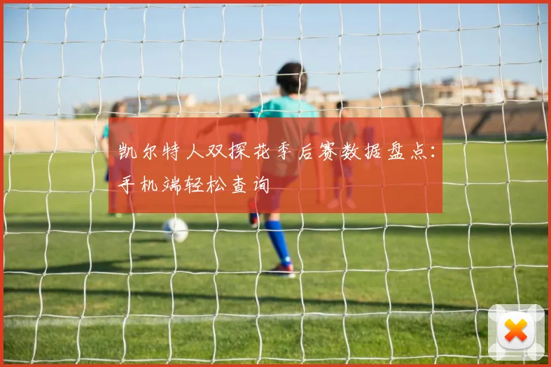 凯尔特人双探花季后赛数据盘点：手机端轻松查询