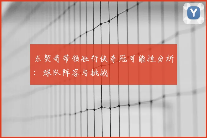 东契奇带领独行侠夺冠可能性分析：球队阵容与挑战