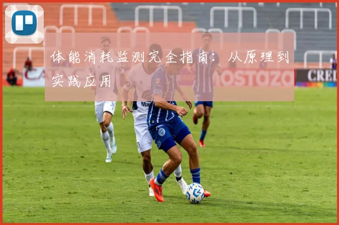 体能消耗监测完全指南：从原理到实践应用