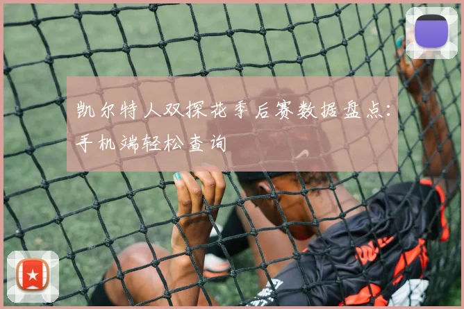 凯尔特人双探花季后赛数据盘点：手机端轻松查询
