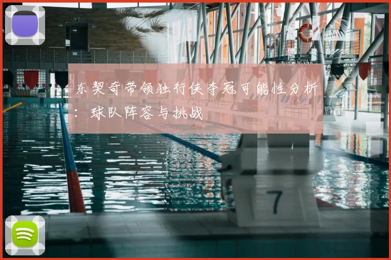 东契奇带领独行侠夺冠可能性分析：球队阵容与挑战